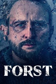 Détective Forst: Season 1