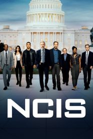 NCIS : Enquêtes Spéciales: Season 20