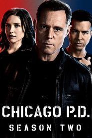 Chicago Police Department: Season 2