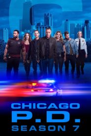 Chicago Police Department: Season 7