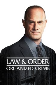 New York : Crime organisé: Season 2