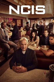 NCIS : Enquêtes Spéciales: Season 19