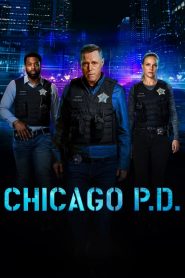 Chicago Police Department: Season 11