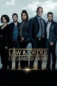 New York : Crime organisé: Season 3