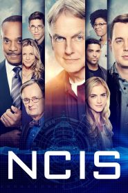 NCIS : Enquêtes Spéciales: Season 16