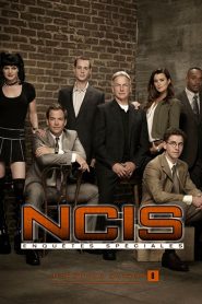 NCIS : Enquêtes Spéciales: Season 8